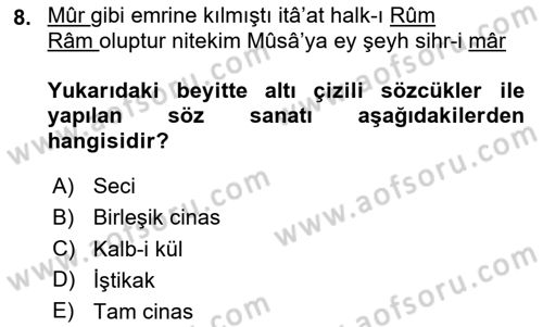 Eski Türk Edebiyatına Giriş: Söz Sanatları Dersi 2024 - 2025 Yılı (Final) Dönem Sonu Sınav Soruları 8. Soru