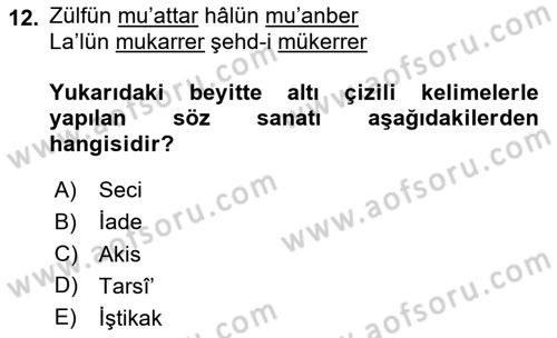 Eski Türk Edebiyatına Giriş: Söz Sanatları Dersi 2024 - 2025 Yılı Yaz Okulu Sınav Soruları 12. Soru