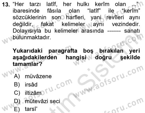 Eski Türk Edebiyatına Giriş: Söz Sanatları Dersi 2024 - 2025 Yılı Yaz Okulu Sınav Soruları 13. Soru
