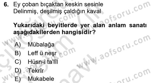 Eski Türk Edebiyatına Giriş: Söz Sanatları Dersi 2024 - 2025 Yılı Yaz Okulu Sınav Soruları 6. Soru