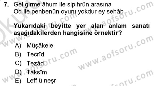 Eski Türk Edebiyatına Giriş: Söz Sanatları Dersi 2024 - 2025 Yılı Yaz Okulu Sınav Soruları 7. Soru