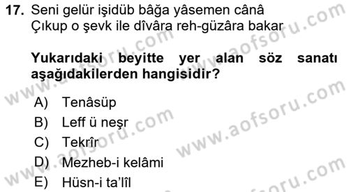 Eski Türk Edebiyatına Giriş: Söz Sanatları Dersi 2025 - 2026 Yılı (Vize) Ara Sınav Soruları 17. Soru