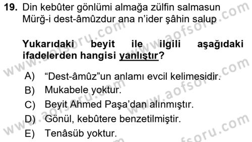 Eski Türk Edebiyatına Giriş: Söz Sanatları Dersi 2025 - 2026 Yılı (Vize) Ara Sınav Soruları 19. Soru
