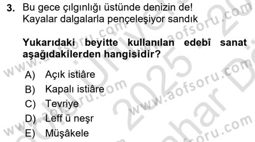 Eski Türk Edebiyatına Giriş: Söz Sanatları Dersi 2025 - 2026 Yılı (Vize) Ara Sınav Soruları 3. Soru