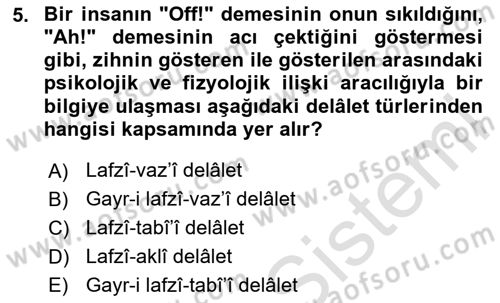 Eski Türk Edebiyatına Giriş: Söz Sanatları Dersi 2025 - 2026 Yılı (Vize) Ara Sınav Soruları 5. Soru