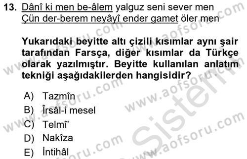 Eski Türk Edebiyatına Giriş: Söz Sanatları Dersi 2025 - 2026 Yılı (Final) Dönem Sonu Sınav Soruları 13. Soru