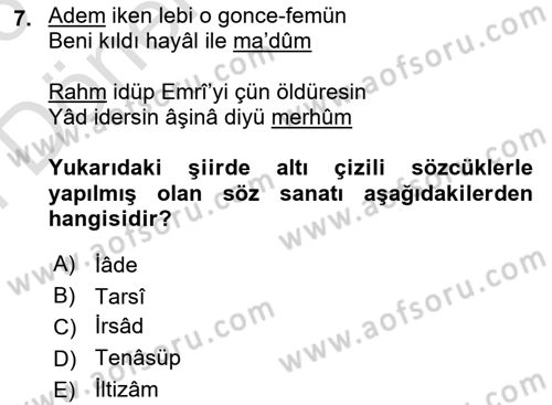 Eski Türk Edebiyatına Giriş: Söz Sanatları Dersi 2025 - 2026 Yılı (Final) Dönem Sonu Sınav Soruları 7. Soru