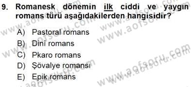 Batı Edebiyatında Akımlar 1 Dersi 2015 - 2016 Yılı (Vize) Ara Sınav Soruları 9. Soru