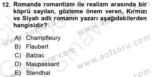 Batı Edebiyatında Akımlar 1 Dersi 2018 - 2019 Yılı (Final) Dönem Sonu Sınav Soruları 12. Soru