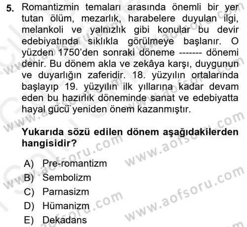 Batı Edebiyatında Akımlar 1 Dersi 2018 - 2019 Yılı (Final) Dönem Sonu Sınav Soruları 5. Soru