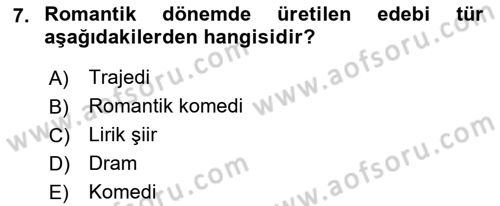 Batı Edebiyatında Akımlar 1 Dersi 2018 - 2019 Yılı (Final) Dönem Sonu Sınav Soruları 7. Soru