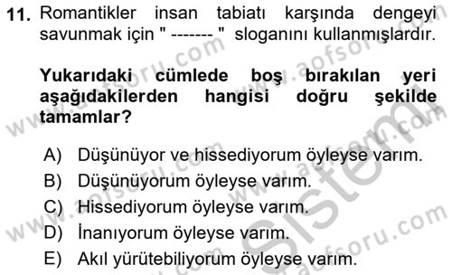 Batı Edebiyatında Akımlar 1 Dersi 2018 - 2019 Yılı Yaz Okulu Sınav Soruları 11. Soru