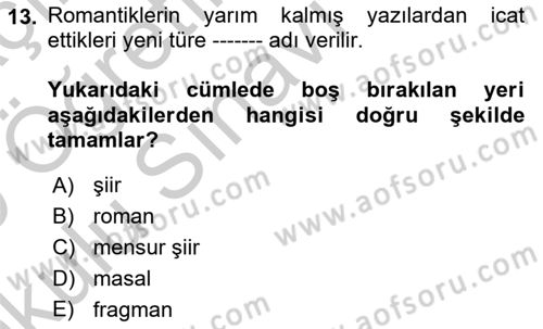 Batı Edebiyatında Akımlar 1 Dersi 2018 - 2019 Yılı Yaz Okulu Sınavı 13. Soru