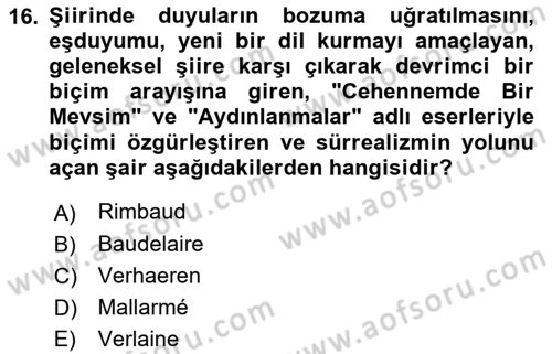 Batı Edebiyatında Akımlar 1 Dersi 2018 - 2019 Yılı Yaz Okulu Sınav Soruları 16. Soru