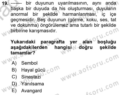 Batı Edebiyatında Akımlar 1 Dersi 2018 - 2019 Yılı Yaz Okulu Sınav Soruları 19. Soru