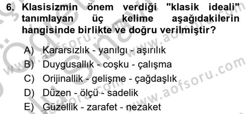 Batı Edebiyatında Akımlar 1 Dersi 2018 - 2019 Yılı Yaz Okulu Sınav Soruları 6. Soru