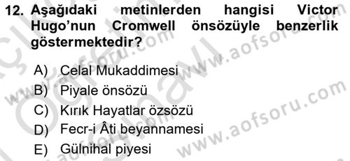 Batı Edebiyatında Akımlar 1 Dersi 2020 - 2021 Yılı Yaz Okulu Sınav Soruları 12. Soru