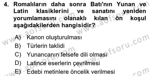 Batı Edebiyatında Akımlar 1 Dersi 2020 - 2021 Yılı Yaz Okulu Sınav Soruları 4. Soru