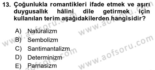 Batı Edebiyatında Akımlar 1 Dersi 2021 - 2022 Yılı (Final) Dönem Sonu Sınav Soruları 13. Soru