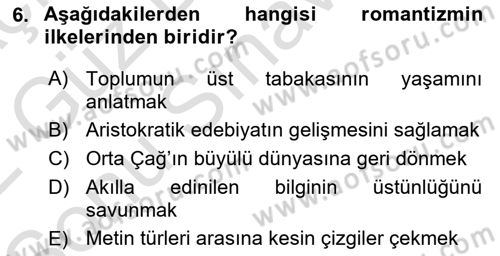 Batı Edebiyatında Akımlar 1 Dersi 2021 - 2022 Yılı (Final) Dönem Sonu Sınav Soruları 6. Soru