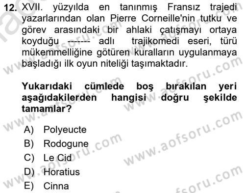 Batı Edebiyatında Akımlar 1 Dersi 2021 - 2022 Yılı Yaz Okulu Sınav Soruları 12. Soru