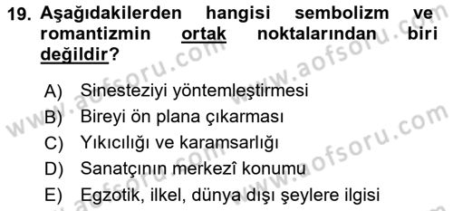 Batı Edebiyatında Akımlar 1 Dersi 2021 - 2022 Yılı Yaz Okulu Sınav Soruları 19. Soru