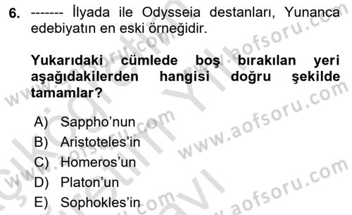 Batı Edebiyatında Akımlar 1 Dersi 2021 - 2022 Yılı Yaz Okulu Sınav Soruları 6. Soru