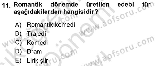 Batı Edebiyatında Akımlar 1 Dersi 2022 - 2023 Yılı (Final) Dönem Sonu Sınav Soruları 11. Soru