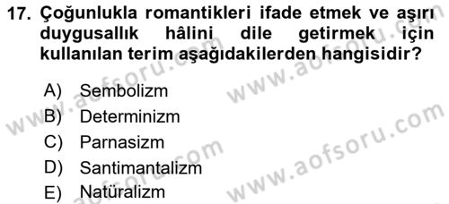 Batı Edebiyatında Akımlar 1 Dersi 2022 - 2023 Yılı (Final) Dönem Sonu Sınav Soruları 17. Soru