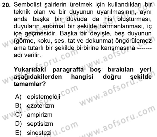 Batı Edebiyatında Akımlar 1 Dersi 2022 - 2023 Yılı Yaz Okulu Sınav Soruları 20. Soru