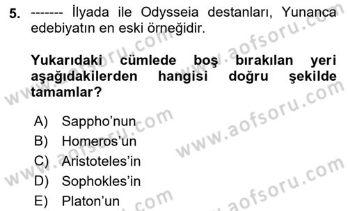 Batı Edebiyatında Akımlar 1 Dersi 2022 - 2023 Yılı Yaz Okulu Sınav Soruları 5. Soru