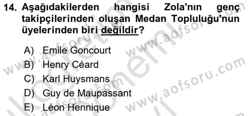 Batı Edebiyatında Akımlar 1 Dersi 2023 - 2024 Yılı (Final) Dönem Sonu Sınav Soruları 14. Soru