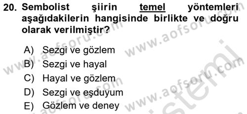 Batı Edebiyatında Akımlar 1 Dersi 2023 - 2024 Yılı (Final) Dönem Sonu Sınav Soruları 20. Soru