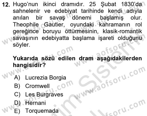 Batı Edebiyatında Akımlar 1 Dersi 2023 - 2024 Yılı Yaz Okulu Sınav Soruları 12. Soru