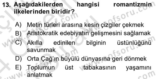 Batı Edebiyatında Akımlar 1 Dersi 2023 - 2024 Yılı Yaz Okulu Sınav Soruları 13. Soru