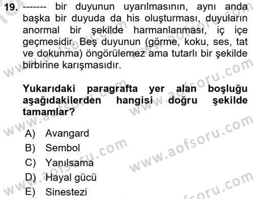 Batı Edebiyatında Akımlar 1 Dersi 2023 - 2024 Yılı Yaz Okulu Sınav Soruları 19. Soru