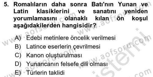 Batı Edebiyatında Akımlar 1 Dersi 2023 - 2024 Yılı Yaz Okulu Sınav Soruları 5. Soru