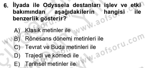 Batı Edebiyatında Akımlar 1 Dersi 2023 - 2024 Yılı Yaz Okulu Sınav Soruları 6. Soru