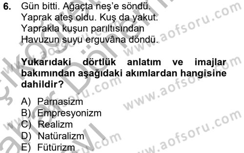 Batı Edebiyatında Akımlar 2 Dersi 2012 - 2013 Yılı (Vize) Ara Sınav Soruları 6. Soru