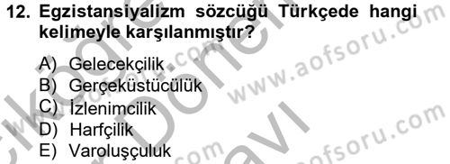 Batı Edebiyatında Akımlar 2 Dersi 2012 - 2013 Yılı (Final) Dönem Sonu Sınav Soruları 12. Soru