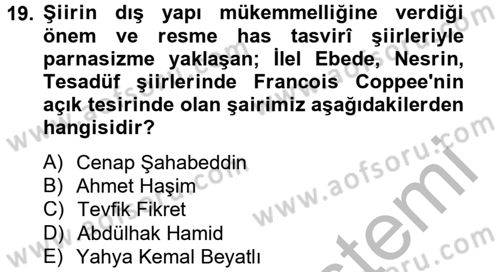 Batı Edebiyatında Akımlar 2 Dersi 2012 - 2013 Yılı (Final) Dönem Sonu Sınav Soruları 19. Soru