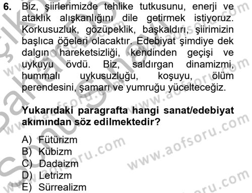 Batı Edebiyatında Akımlar 2 Dersi 2012 - 2013 Yılı (Final) Dönem Sonu Sınav Soruları 6. Soru