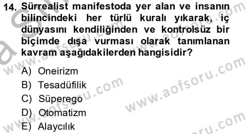 Batı Edebiyatında Akımlar 2 Dersi 2013 - 2014 Yılı (Vize) Ara Sınav Soruları 14. Soru