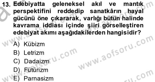 Batı Edebiyatında Akımlar 2 Dersi 2014 - 2015 Yılı (Vize) Ara Sınav Soruları 13. Soru