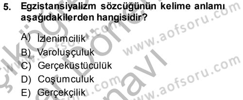 Batı Edebiyatında Akımlar 2 Dersi 2014 - 2015 Yılı (Final) Dönem Sonu Sınav Soruları 5. Soru