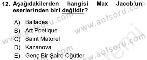 Batı Edebiyatında Akımlar 2 Dersi 2015 - 2016 Yılı (Vize) Ara Sınav Soruları 12. Soru