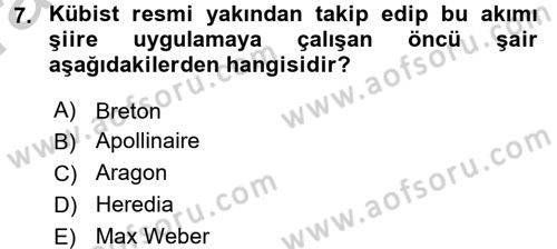 Batı Edebiyatında Akımlar 2 Dersi 2016 - 2017 Yılı (Vize) Ara Sınav Soruları 7. Soru