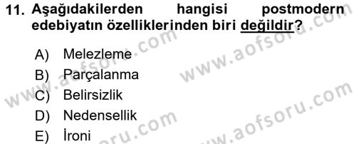 Batı Edebiyatında Akımlar 2 Dersi 2016 - 2017 Yılı (Final) Dönem Sonu Sınav Soruları 11. Soru