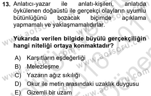 Batı Edebiyatında Akımlar 2 Dersi 2016 - 2017 Yılı (Final) Dönem Sonu Sınav Soruları 13. Soru