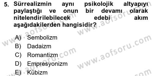 Batı Edebiyatında Akımlar 2 Dersi 2016 - 2017 Yılı (Final) Dönem Sonu Sınav Soruları 5. Soru